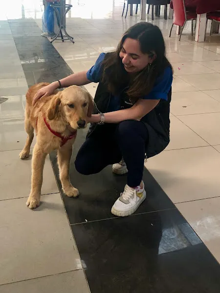 Sevilen Veteriner Kliniği foto 2