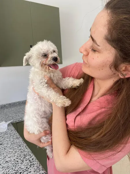 VİTAVET Veteriner Kliniği foto 2