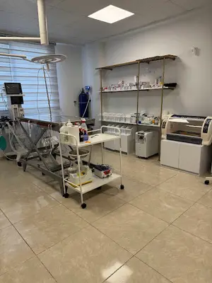 Sefa Veteriner Kliniği Veteriner Hekim Sefa Kaya