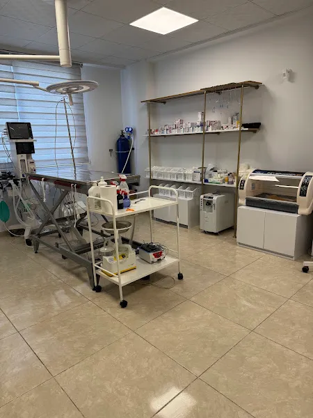 Sefa Veteriner Kliniği Veteriner Hekim Sefa Kaya foto 1