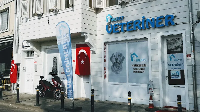 YalıVet Veteriner Kliniği foto 2