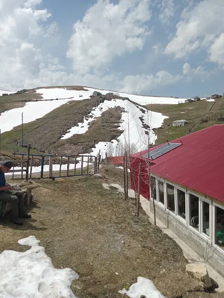 Hekimoğlu Mandagözü Yaylası Veteriner Kliniği foto 1