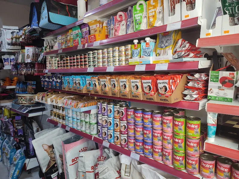 Bahçelievler Pet Shop foto 2