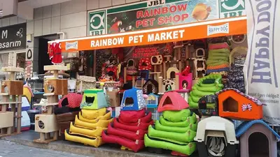 Rainbow Pet Market