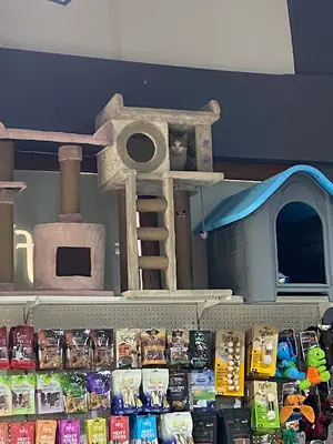 TOFY Pet Shop