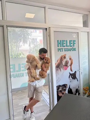 Helef pet kuaför fotoğrafı