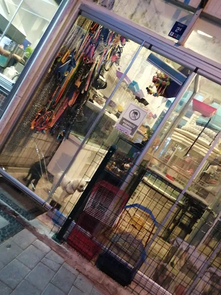 Arbe petshop foto 2