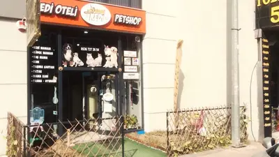 Çizmeli Kedi Petshop & Kedi Oteli - Kedi Pansiyonu