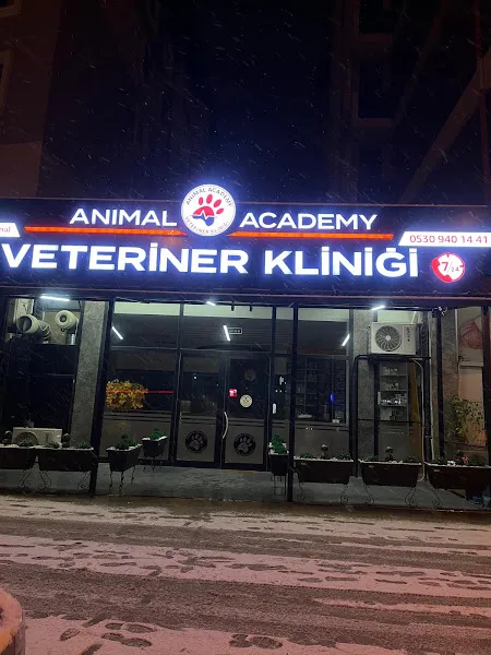 ANIMAL ACADEMY VETERİNER KLİNİĞİ KÖRFEZ foto 1