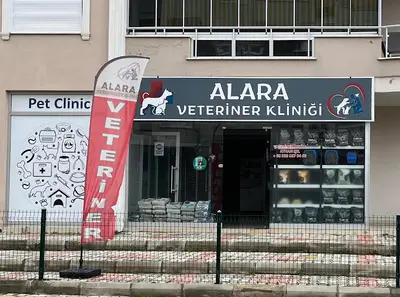 Avsallar Alara Veteriner Kliniği (Alanya-Avsallar Veteriner) / Tierarztpraxis / Pet Clinic / ветеринарная клиника