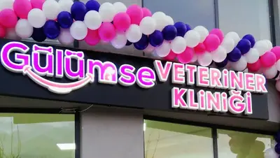 Gülümse Veteriner Kliniği fotoğrafı