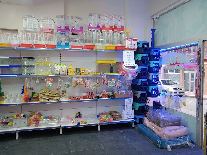 manisa eren petshop foto 2