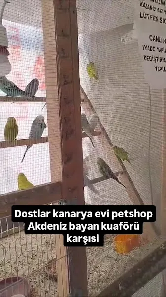 Akdağmadeni petshop Dostlar Kanarya Evi foto 2