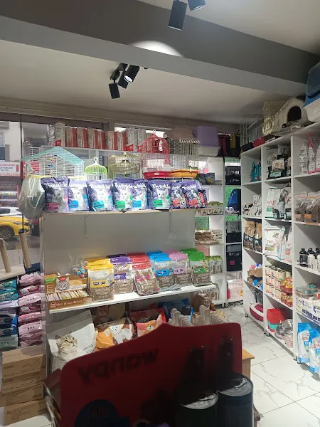 TETİ PETSHOP foto 2