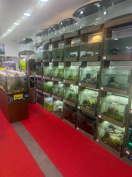 Pet & Pet Life - Petshop foto 2
