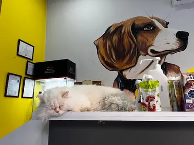Petoskop Veteriner Kliniği