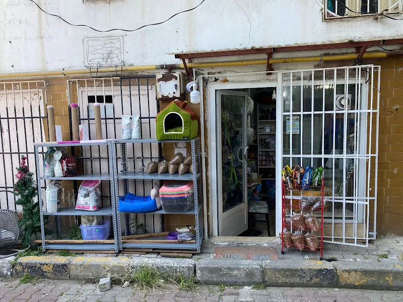 Aras Pet Shop foto 2