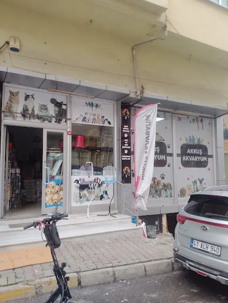 Akkuş akvaryum ve petshop foto 1