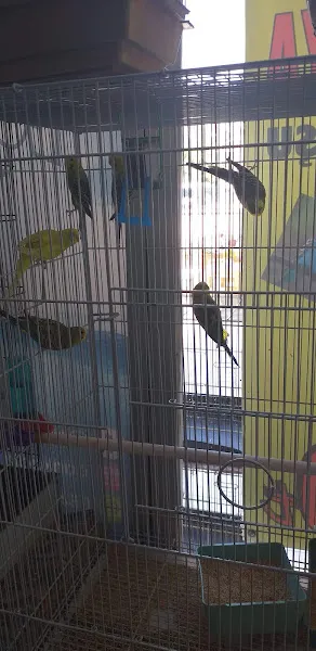 Egzotik Petshop Karaman foto 2