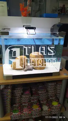Atlas petshop tekirdağ