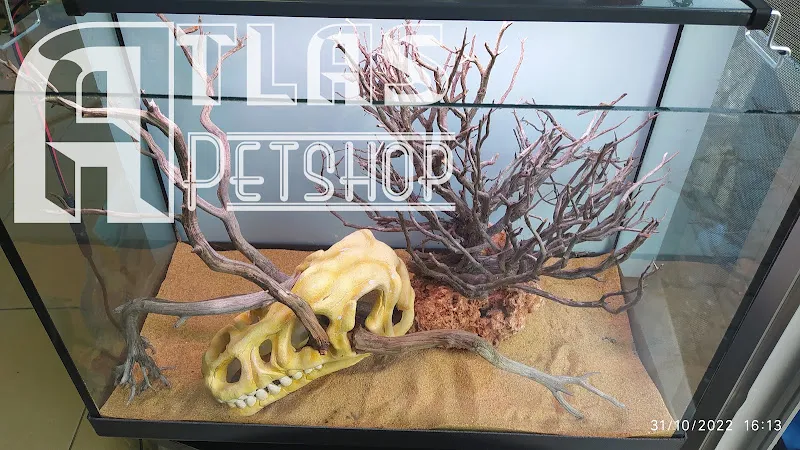 Atlas petshop tekirdağ foto 2