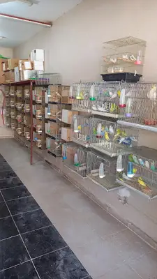 KERİM KUŞÇU PETSHOP