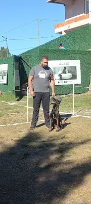 HTT KÖPEK EĞİTİM TAKIMI fotoğrafı