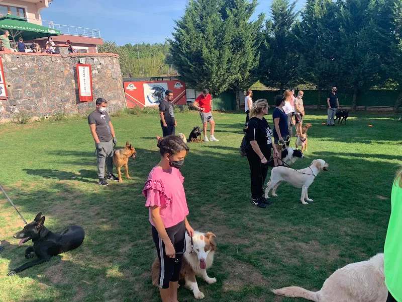 HTT KÖPEK EĞİTİM TAKIMI foto 2