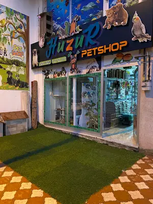 Şimşek Akvaryum
