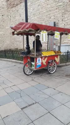Pet Avrupa fotoğrafı