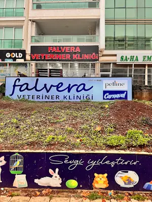 Falvera Veteriner Kliniği (YUSUF KETRE)