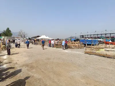 Geyve Canlı Hayvan Pazarı