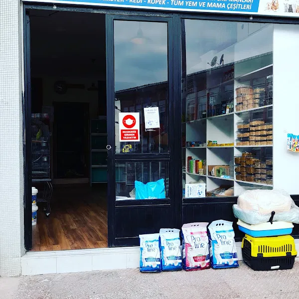 Can Kuş Evi Petshop foto 2
