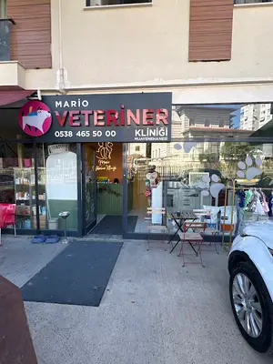 Pendik Pet Kuaför
