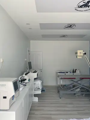 pet 416 veteriner kliniği