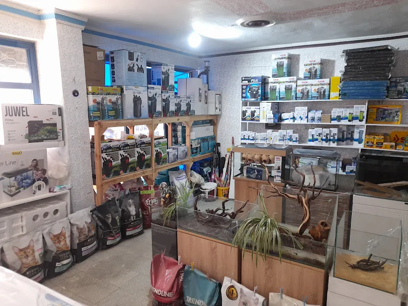 Karaca Akvaryum foto 2