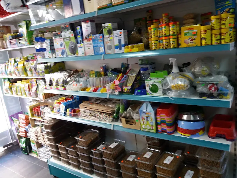 Merter Pet Akvaryum ve Petshop foto 2