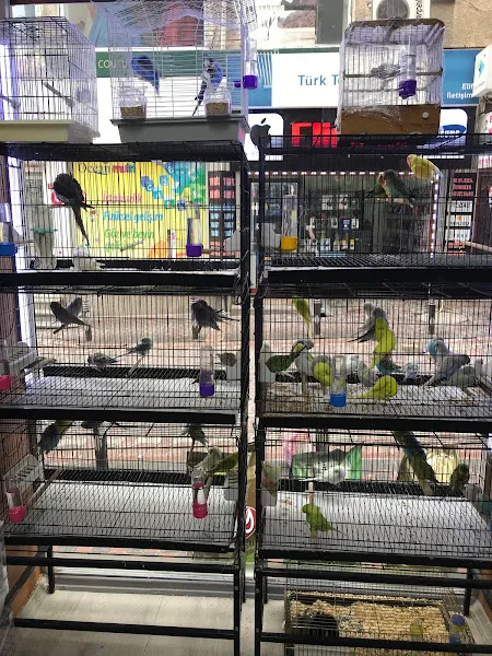 LİYA PETSHOP foto 2
