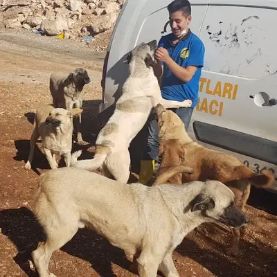 Cahide Canlı Hayatını İyileştirme Derneği