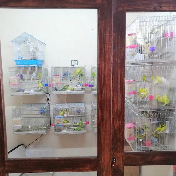 Kalp Petshop foto 2