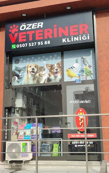 ÖZER VETERİNER KLİNİĞİ 2 foto 2