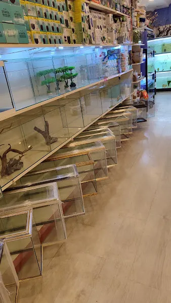 Favori Akvaryum - Petshop foto 2