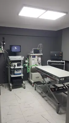 İzmir forvet veteriner kliniği