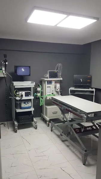 İzmir forvet veteriner kliniği foto 1