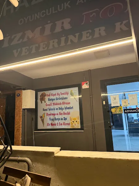 İzmir forvet veteriner kliniği foto 2