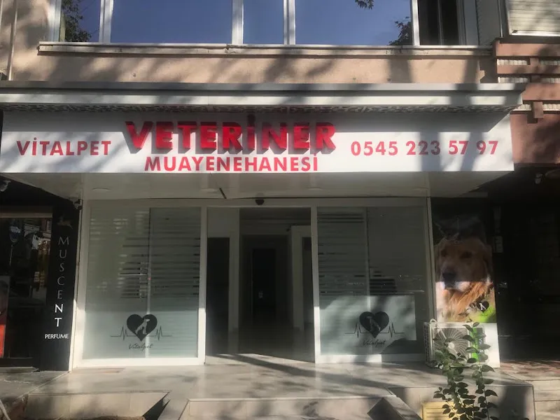 Bakırköy Veteriner - Vitalpet Veteriner Kliniği - foto 1