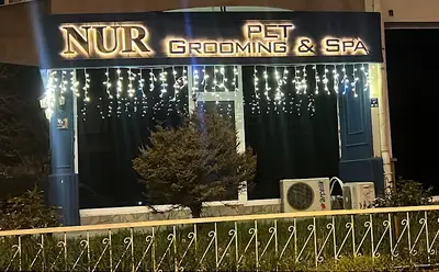 Nur petgrooming & spa