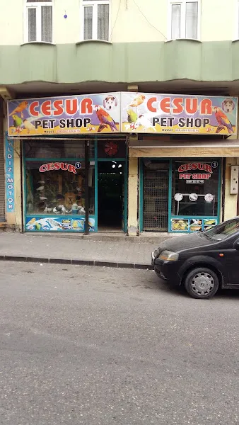 Cesur Petshop foto 1