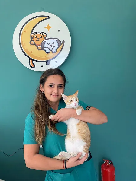 Luna Veteriner Kliniği foto 2