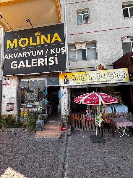 Molina Petshop ve Gurme Pet Mama foto 1